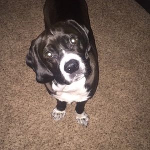 Meet your Posher, Lilly